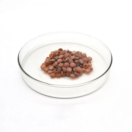 Gummi Antioxidans TMQ